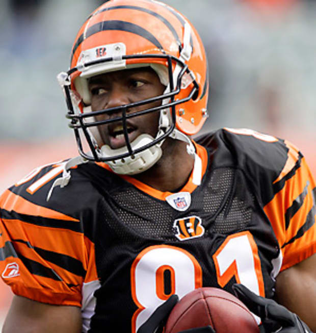 Bengals' Terrell Owens out for season with knee injury