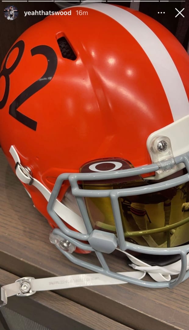 Cleveland Browns Helmet Ornament - Item 333317