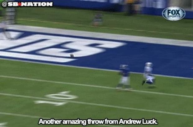 Watch: Reggie Wayne makes what could be the catch of the year  in the  preseason - Sports Illustrated