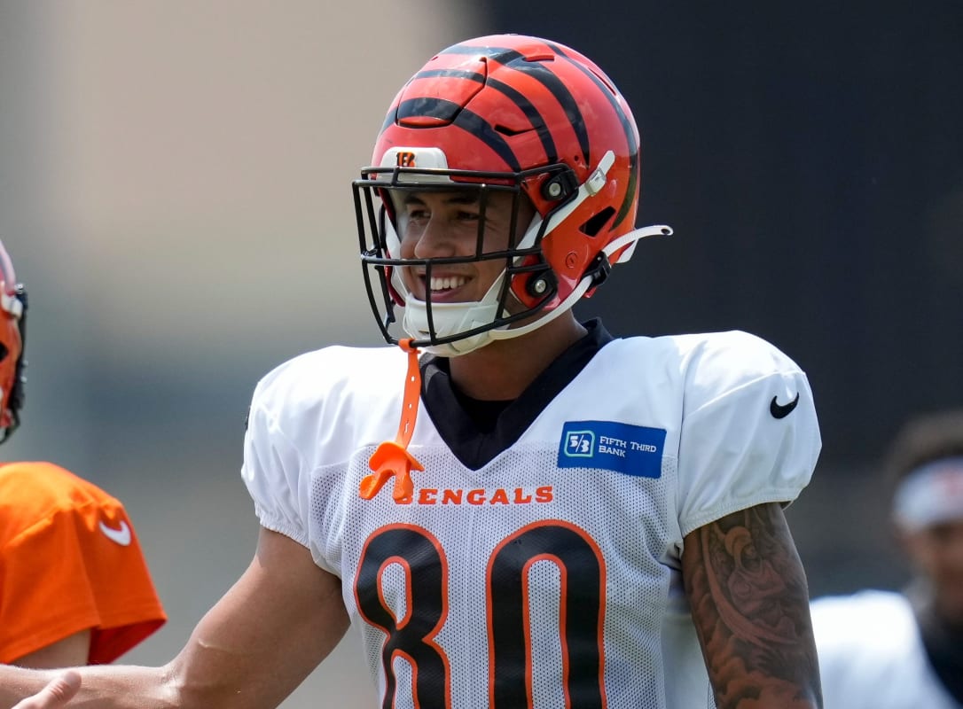 T.J. Houshmandzadeh says Tee Higgins can be a top NFL WR