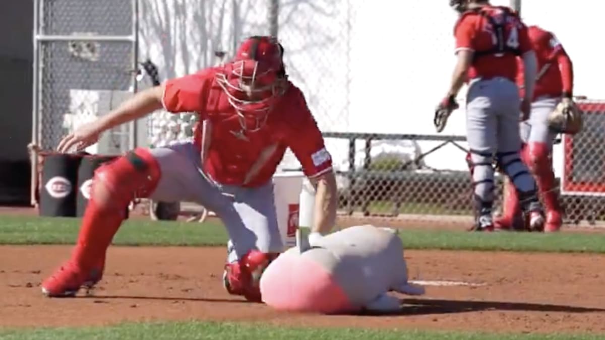 Reds Coaches Found Genius Way to Use a Stuffed Animal in Spring Training Drill