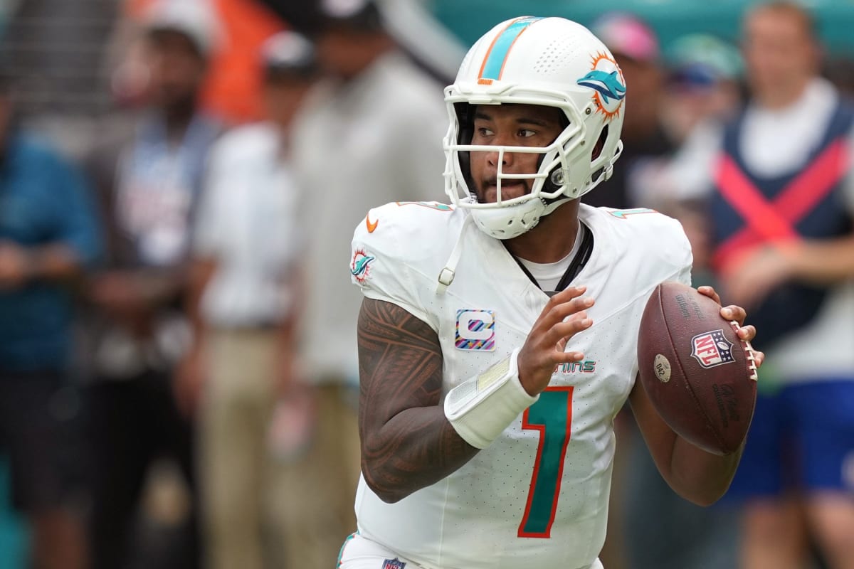 Dolphins Take Care of Some Business - Sports Illustrated Miami