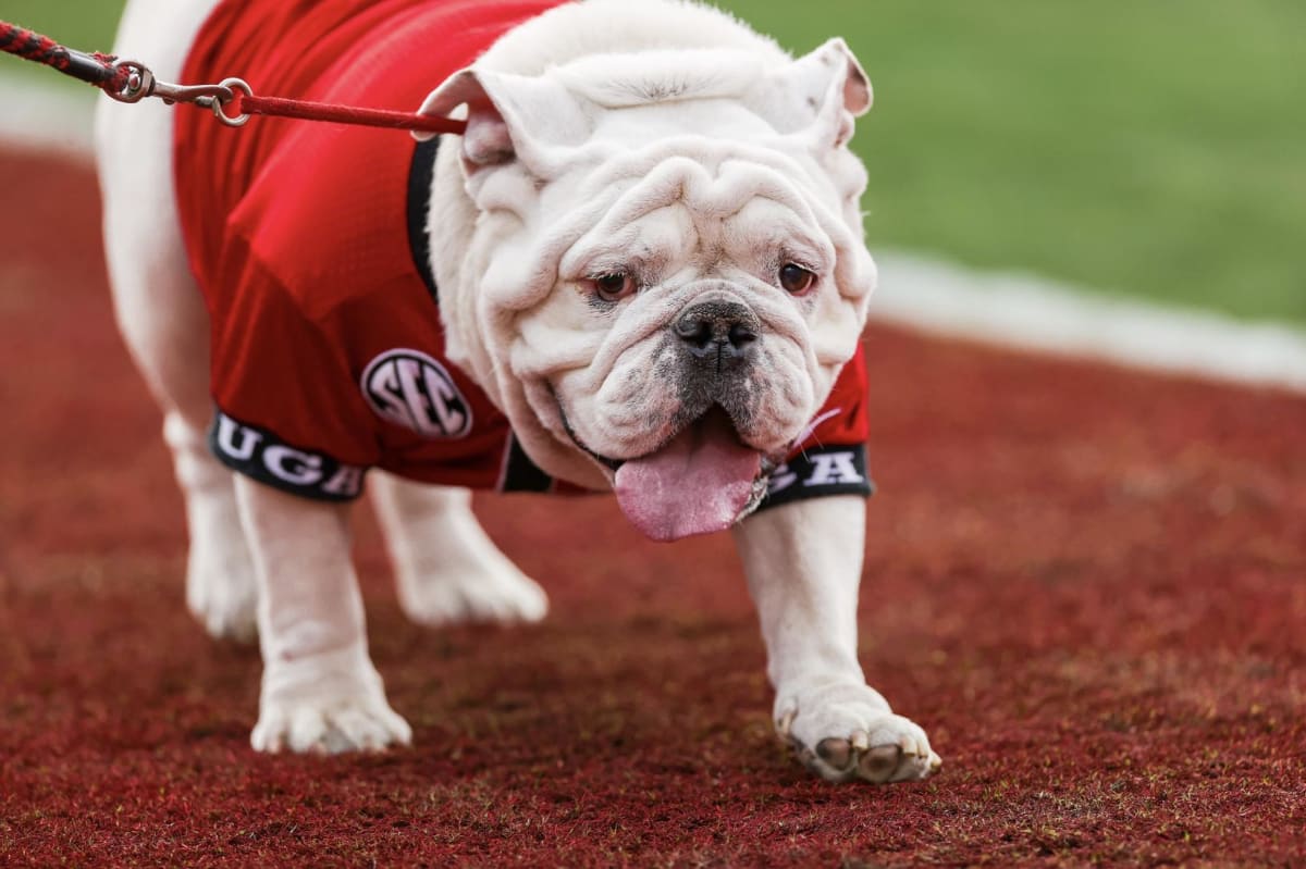 REPORT Georgia Bulldogs Football Schedule For 2024 Season Released BVM Sports