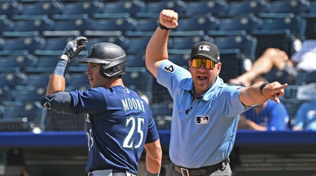 MLB Pitcher Accidentally Hits and Kills a Bird with His Throw