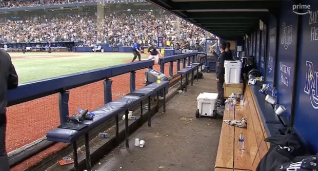 Yankee fan running on the field