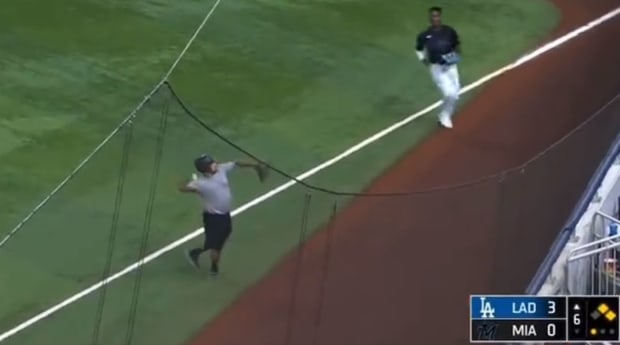 Cat Crashes Miami Marlins Baseball Game, Becomes Rally Cat