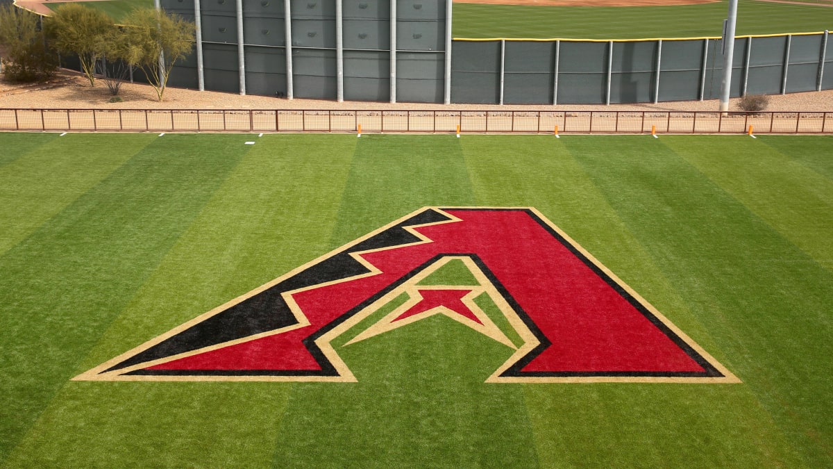 Why Three Diamondbacks Minority Owners Are Suing Team's Majority Owner