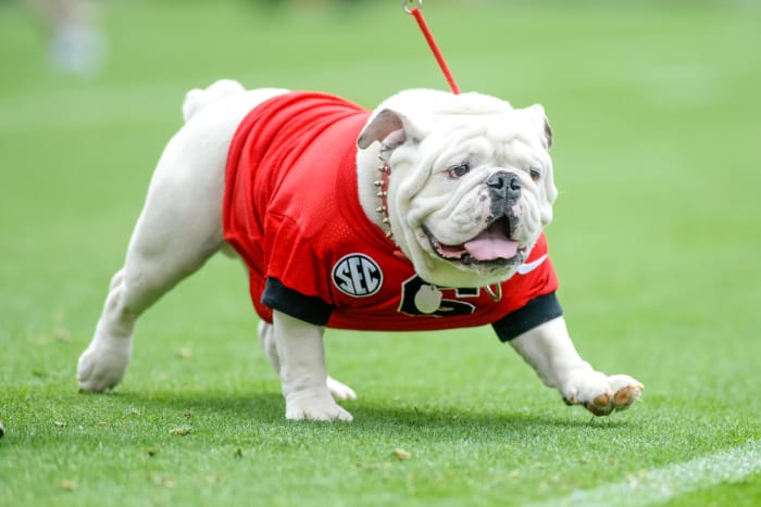 College Football's Best Mascots In History Rankings - Sports Illustrated