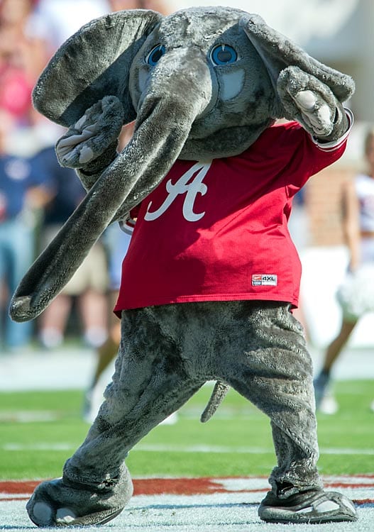 Top 25 College Football Mascots Hot Clicks Sports Illustrated   Alabama Big Al 