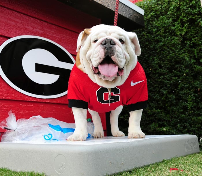 The 25 Best Mascots In College Football - Sports Illustrated