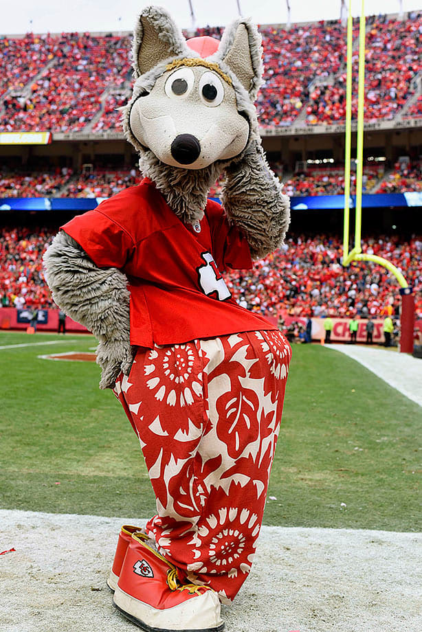 Ranking the NFL's Mascots Sports Illustrated