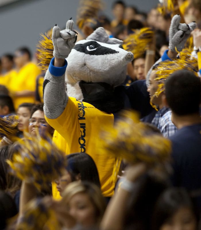 Top 12 Mascots of the NCAA Tournament - Sports Illustrated