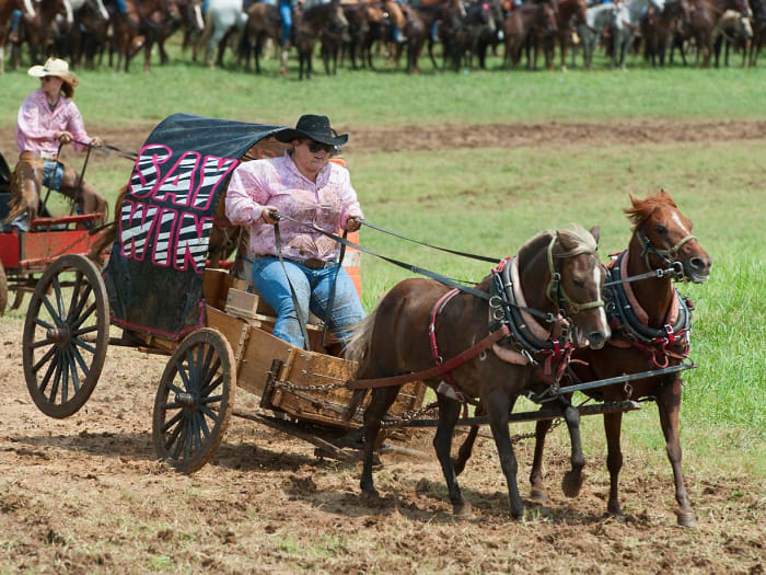 National Chuckwagon Race Championship Sports Illustrated