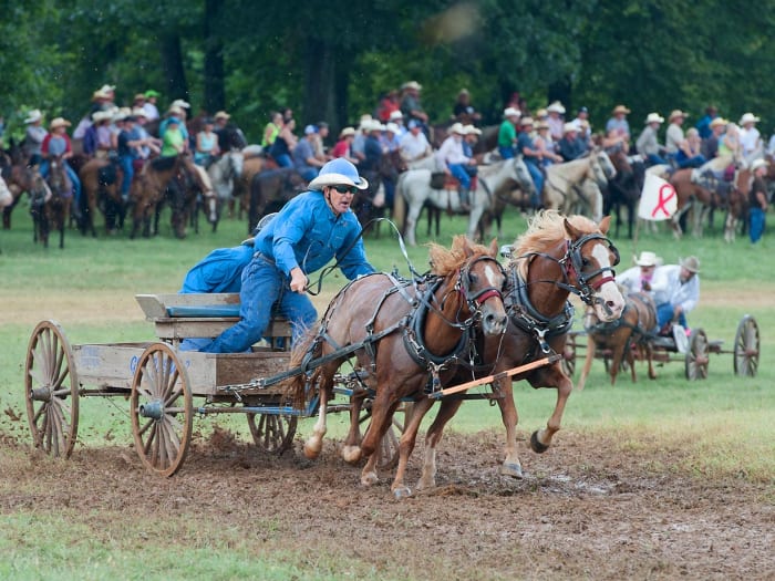 National Chuckwagon Race Championship Sports Illustrated