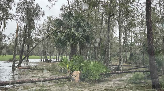 Downed trees and flooding are shown at Tiburon Golf Club at The Ritz-Carlton Golf Resort in Naples, Florida.