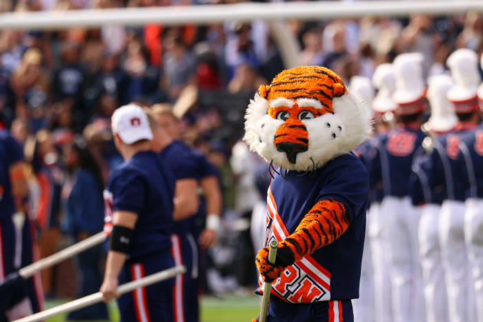 Aubie the Tigers