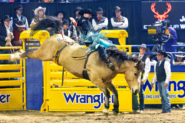 Xplosive Skies Named Top Saddle Bronc Horse at 2023 NFR - Sports ...