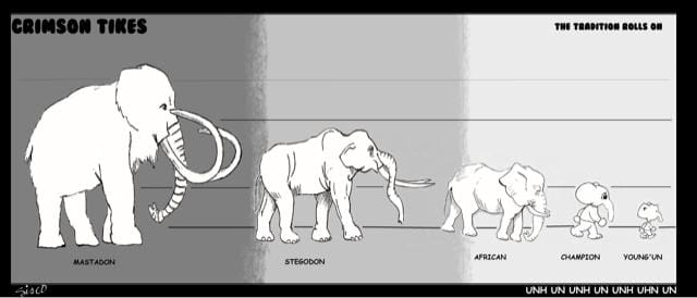 Crimson Tikes: Charting the Evolution of a Champion - Sports ...