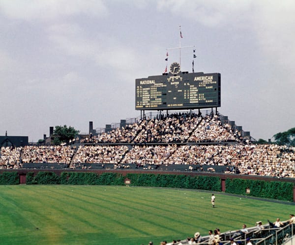 List 27+ Background Images what kind of ivy is at wrigley field Superb