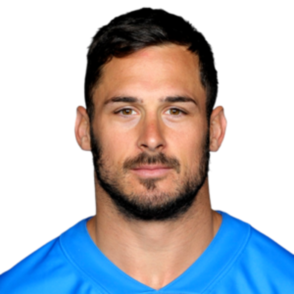 Дэнни Амендола. Danny Amendola.