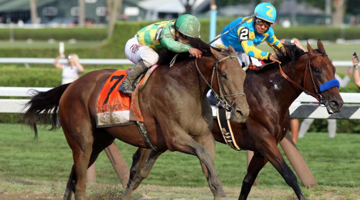 American Pharoah Stud Fee What's the price for breeding? Sports