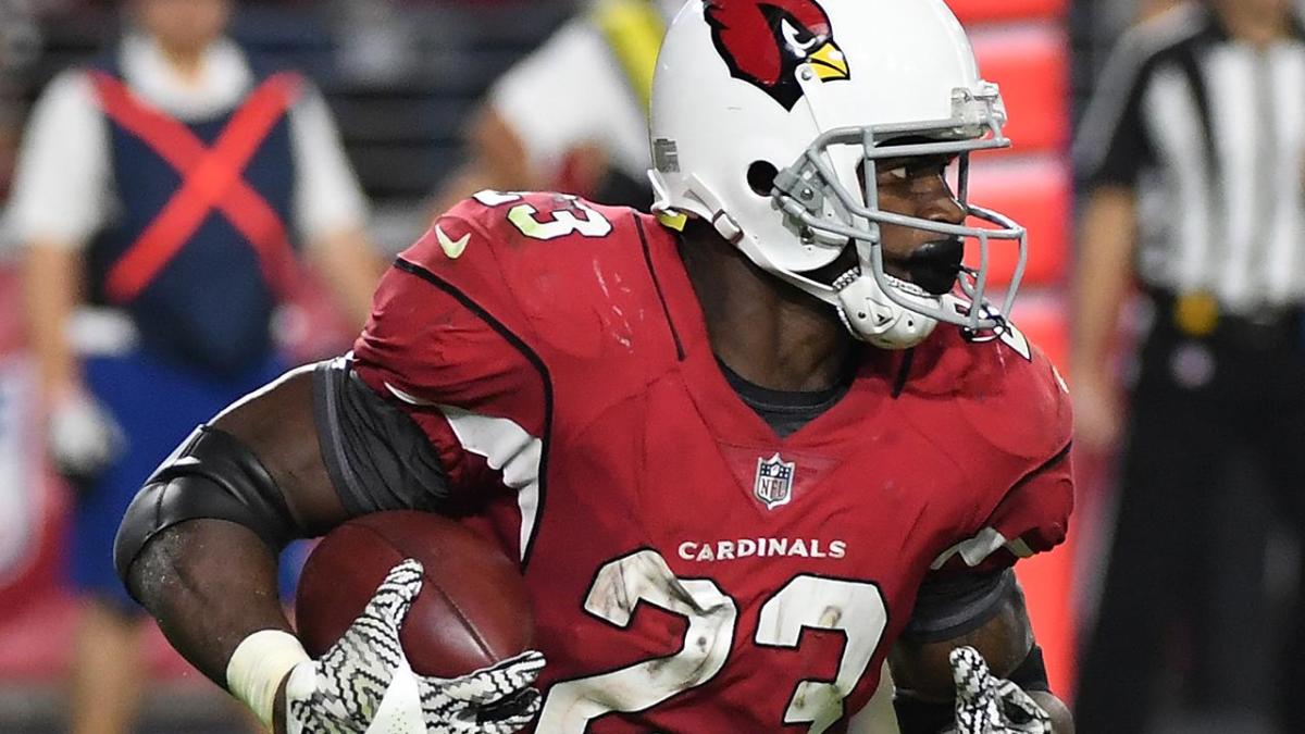 Adrian Peterson placed on injured reserve - Field Gulls