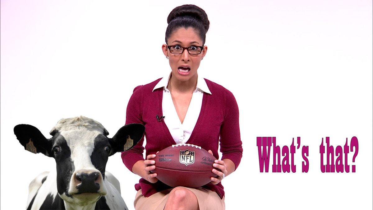 Super Bowl 2019: How cows become NFL footballs - Sports Illustrated