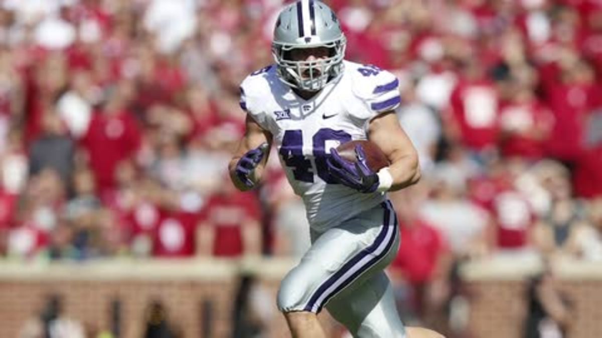 December 28, 2103: Kansas State Wildcats fullback Glenn Gronkowski (48) in  action during the Buffalo Wild Wings Bowl NCAA football game between the  Michigan Wolverines and the Kansas State Wildcats at Sun