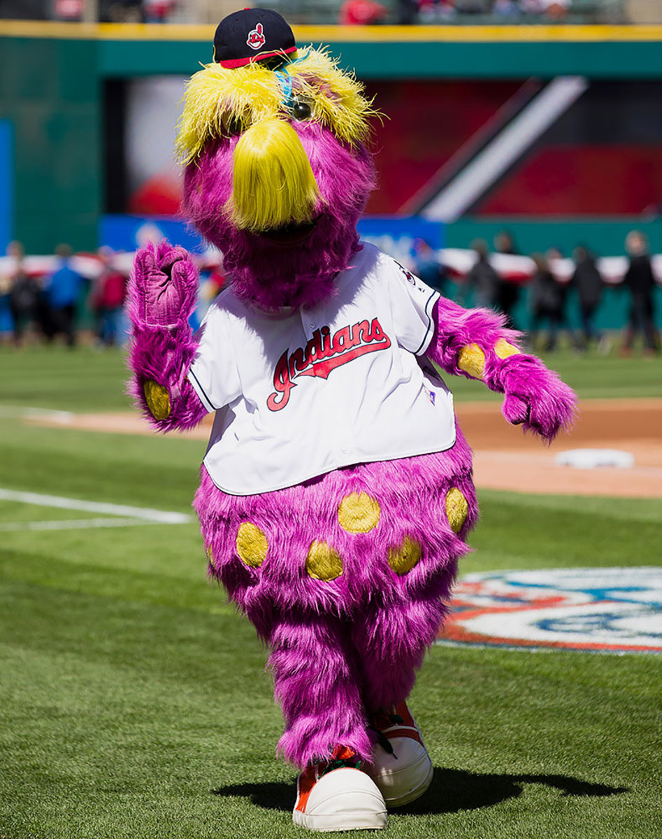 Bear mascot New York Yankee baseball disguise