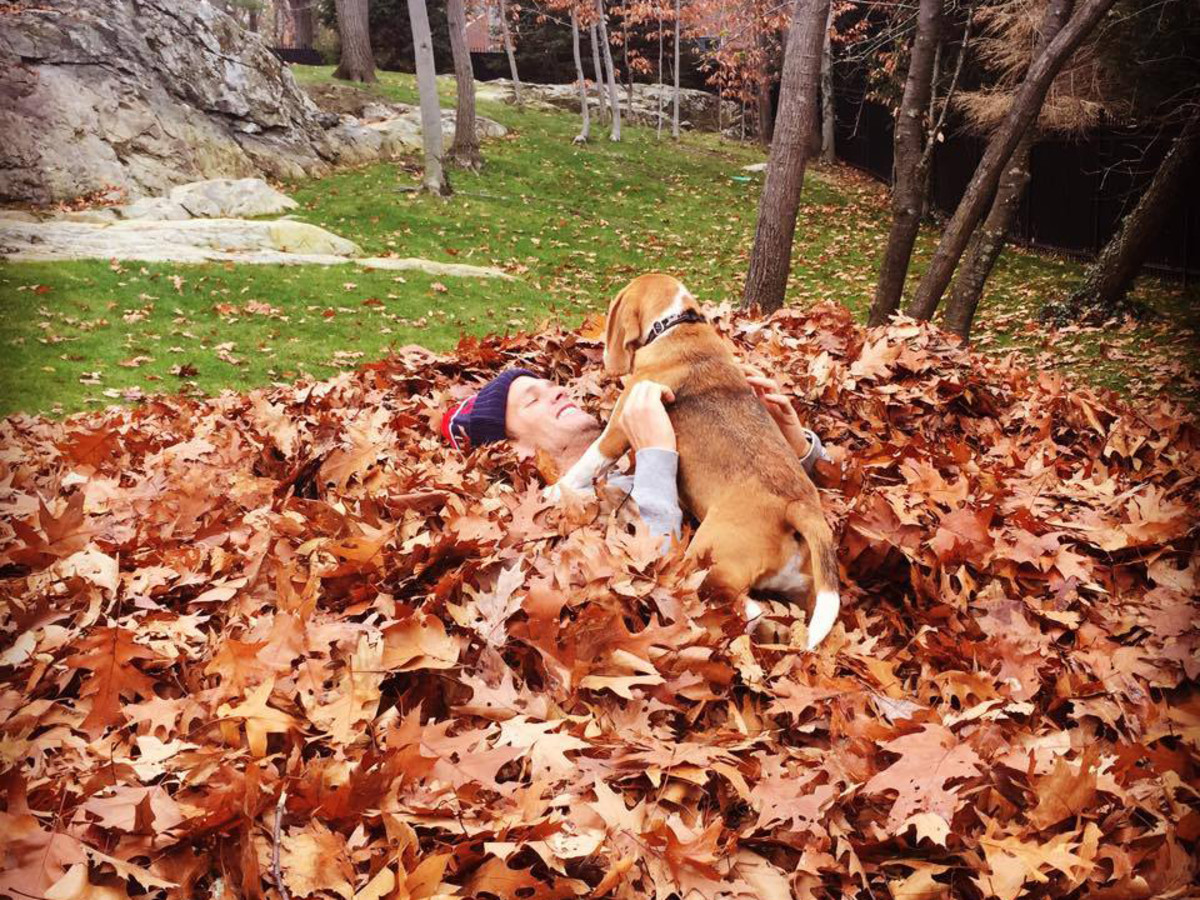 Dog named Tom Brady booed at Cincinnati Reds' Bark in the Park night