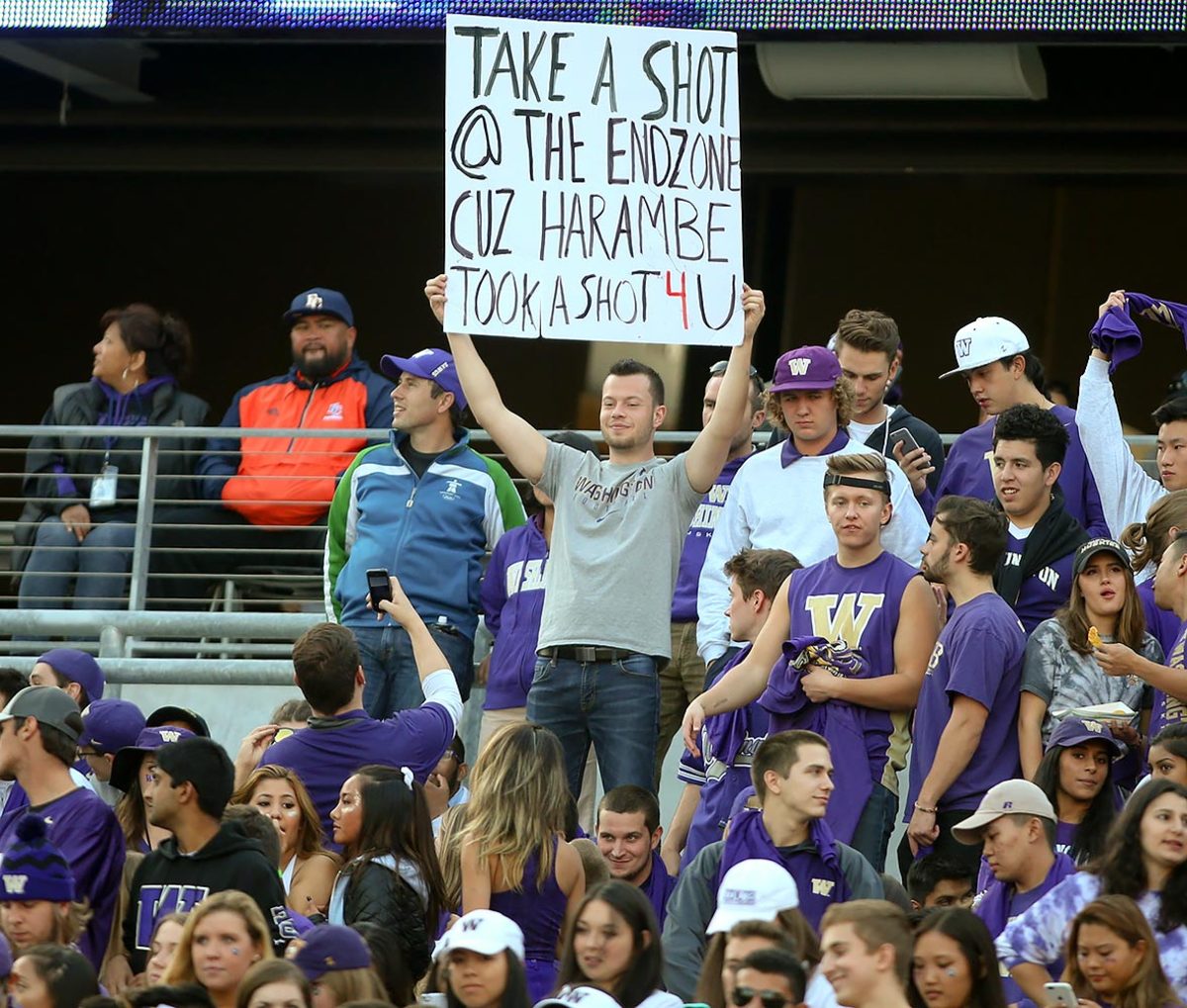 Washington-Huskies-fans-56009302016004_Stanford_at_Washington.jpg