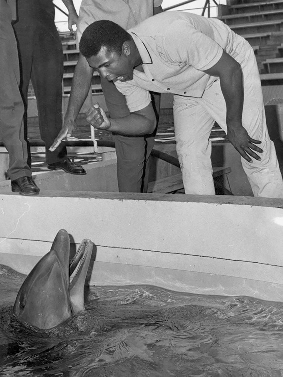 1964-0201-Muhammad-Ali-dolphin.jpg