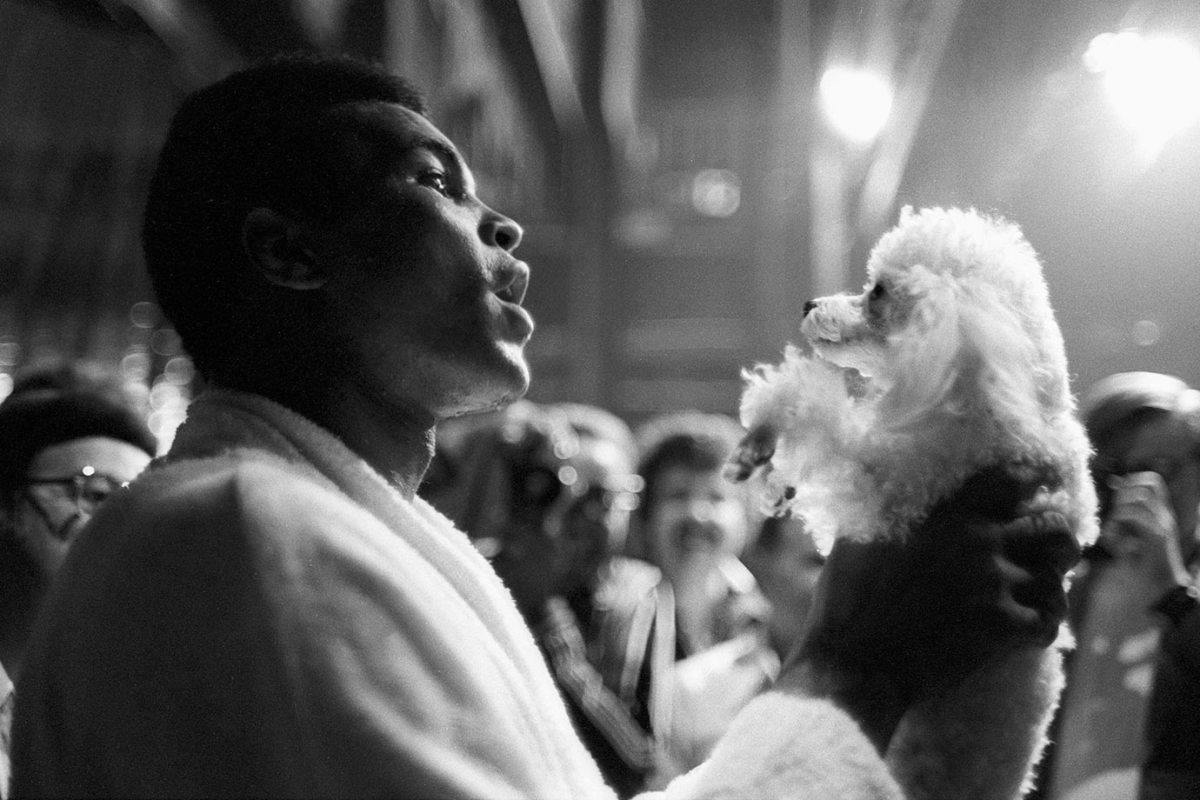 1973-Muhammad-Ali-poodle-dog-080062776.jpg