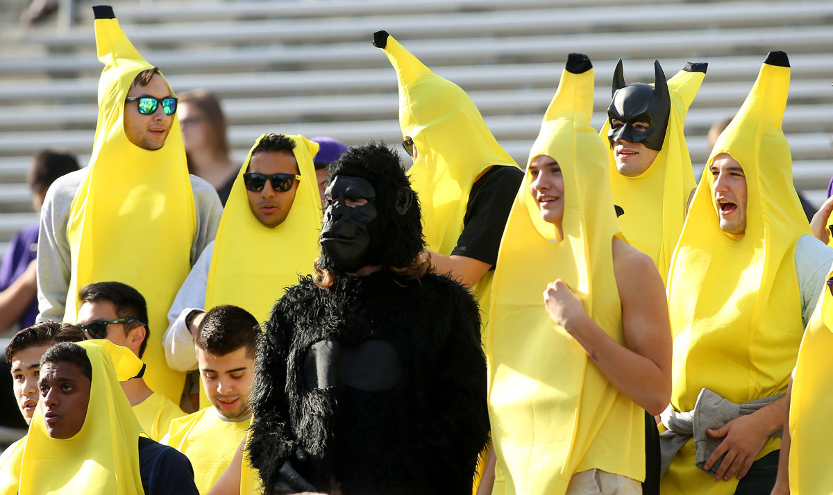 Washington-Huskies-fans-56010222016003_Oregon_State_at_Washing.jpg