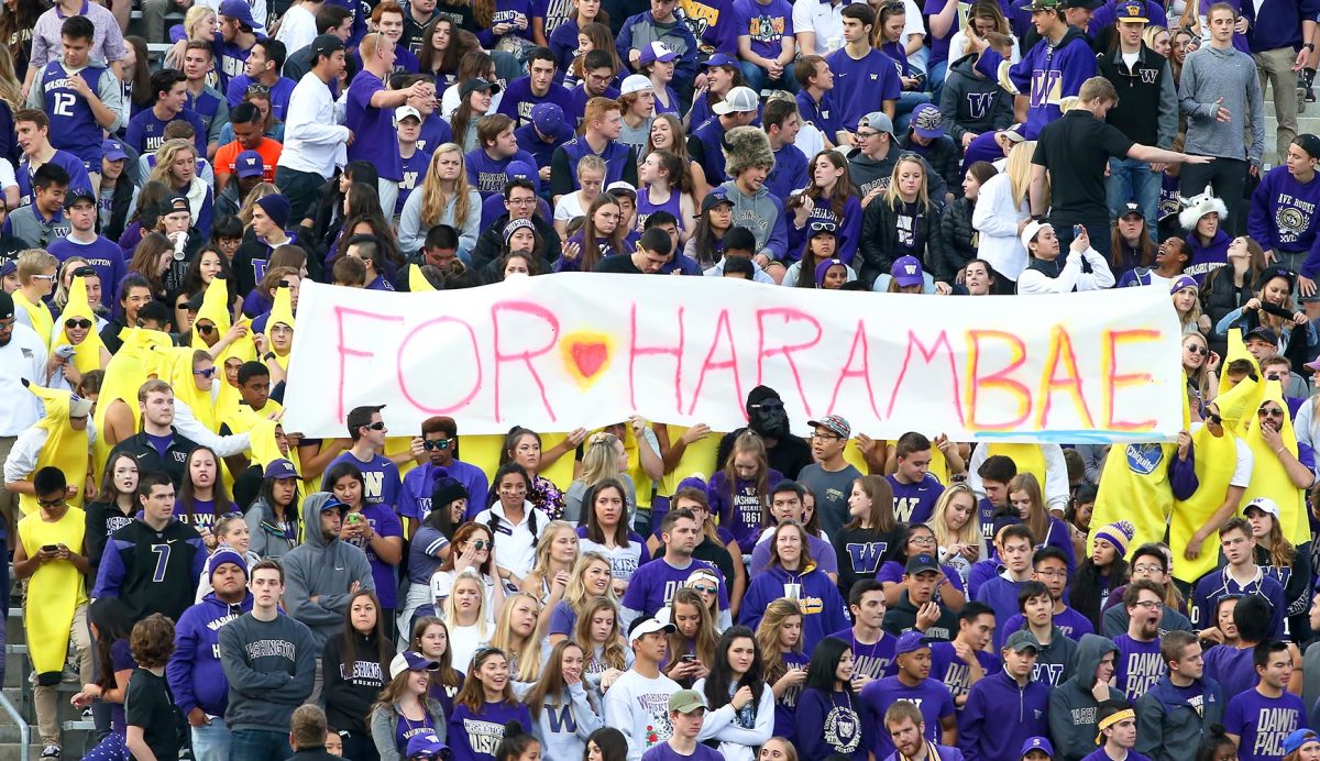 Washington-Huskies-fans-56010222016041_Oregon_State_at_Washing.jpg