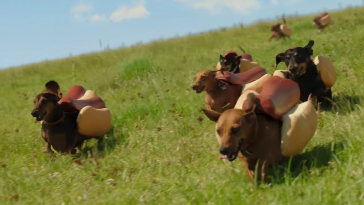 Super Bowl commercial Heinz ketchup ad has wiener dogs (video