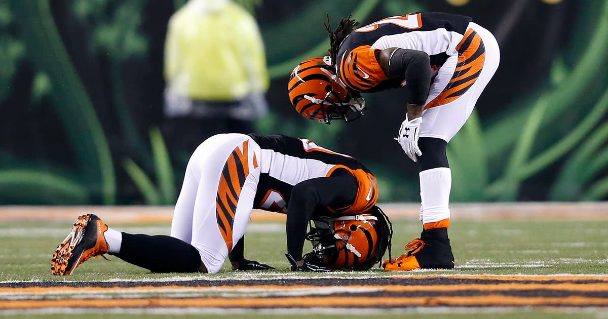 Bengals vs Steelers: Reggie Nelson injures ankle in playoff game - Sports  Illustrated