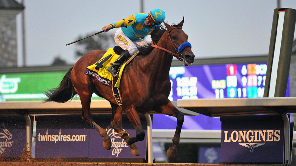 American ride. American Pharoah Horse. Triple Crown Horse Racing. Grand Slam (Horse). Тройная корона регби.