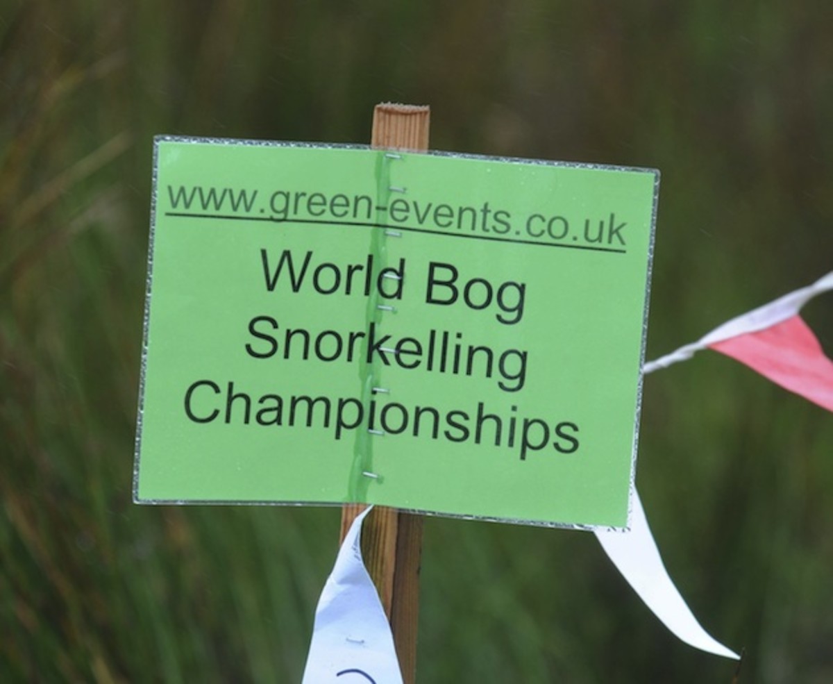 world-bog-snorkelling-championships-sign.jpg