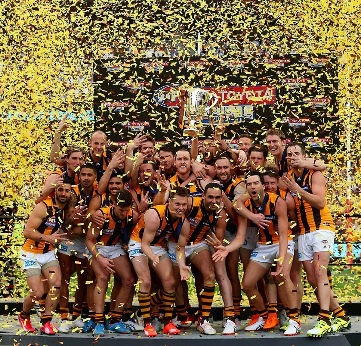 hawthorn-hawks-491081582_master.jpg