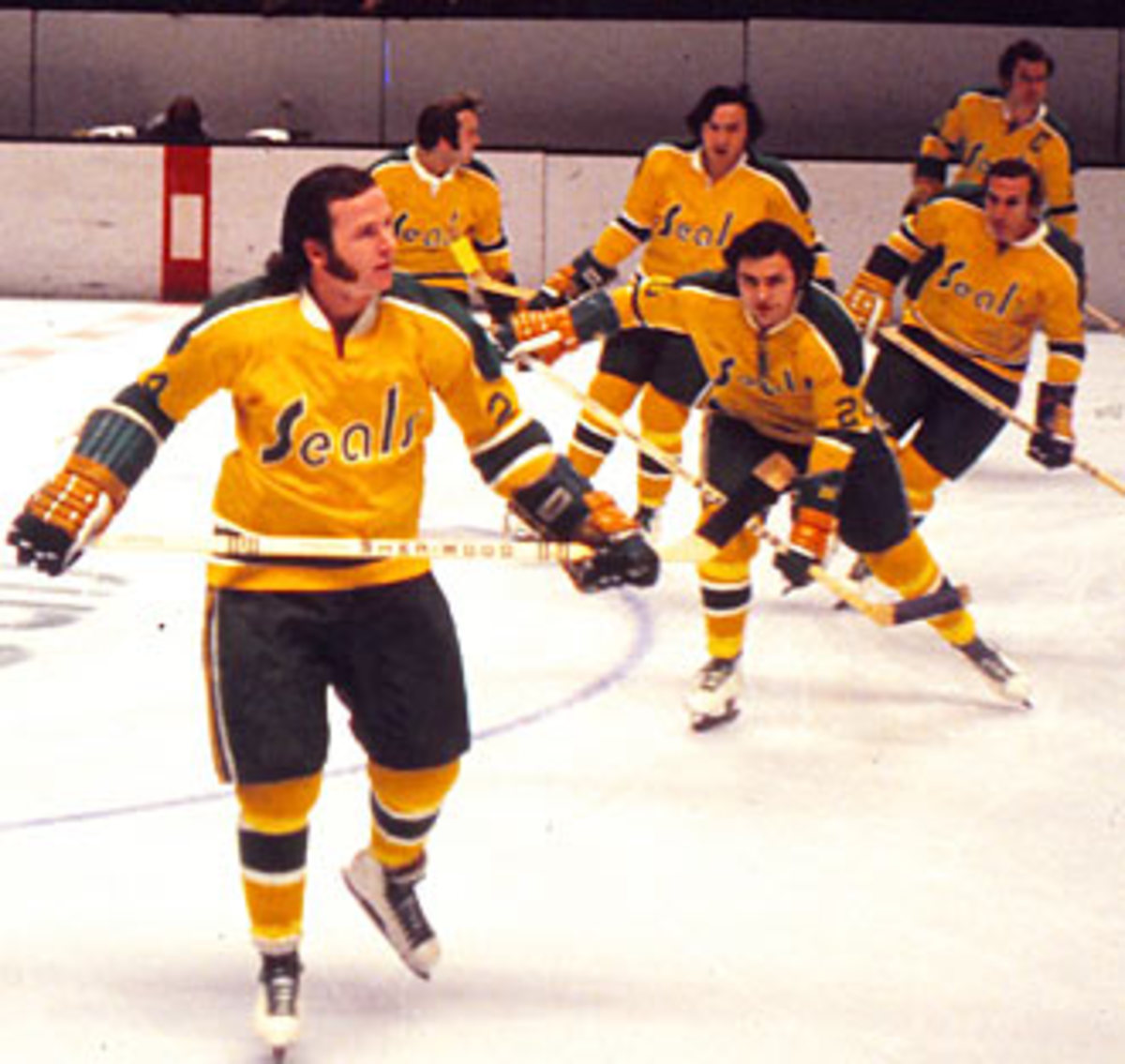 13 California Golden Seals ideas  hockey goalie, nhl hockey, hockey