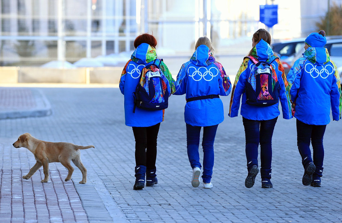 sochi-olympics-stray-dogs-466542485.jpg