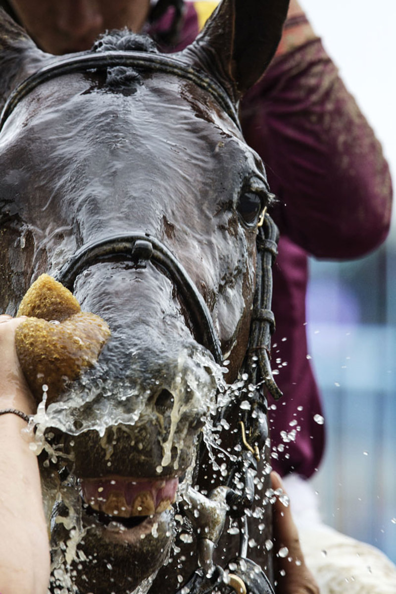 2015-Belmont-Stakes-Macari_Gallery_0004.jpg