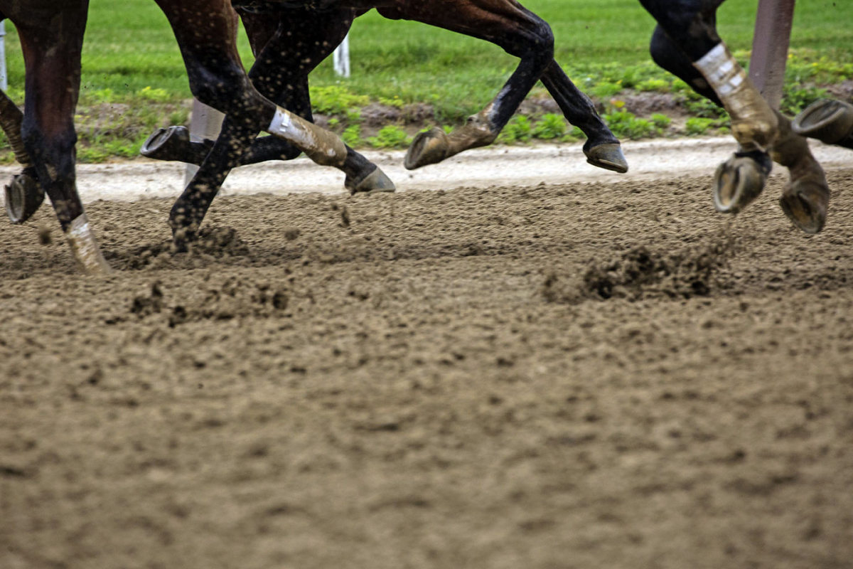 2015-Belmont-Stakes-Macari_Gallery_0002.jpg