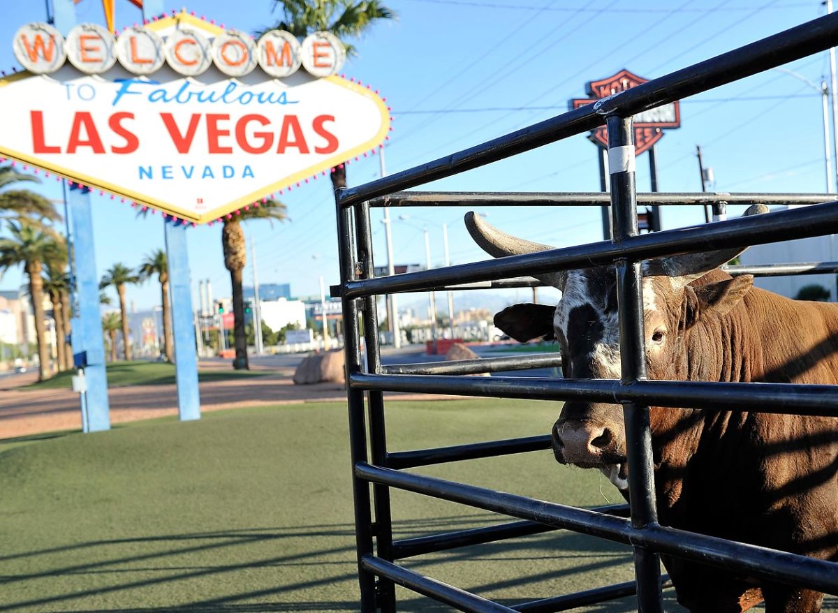 Bushwacker-at-Vegas-Sign-2.jpg