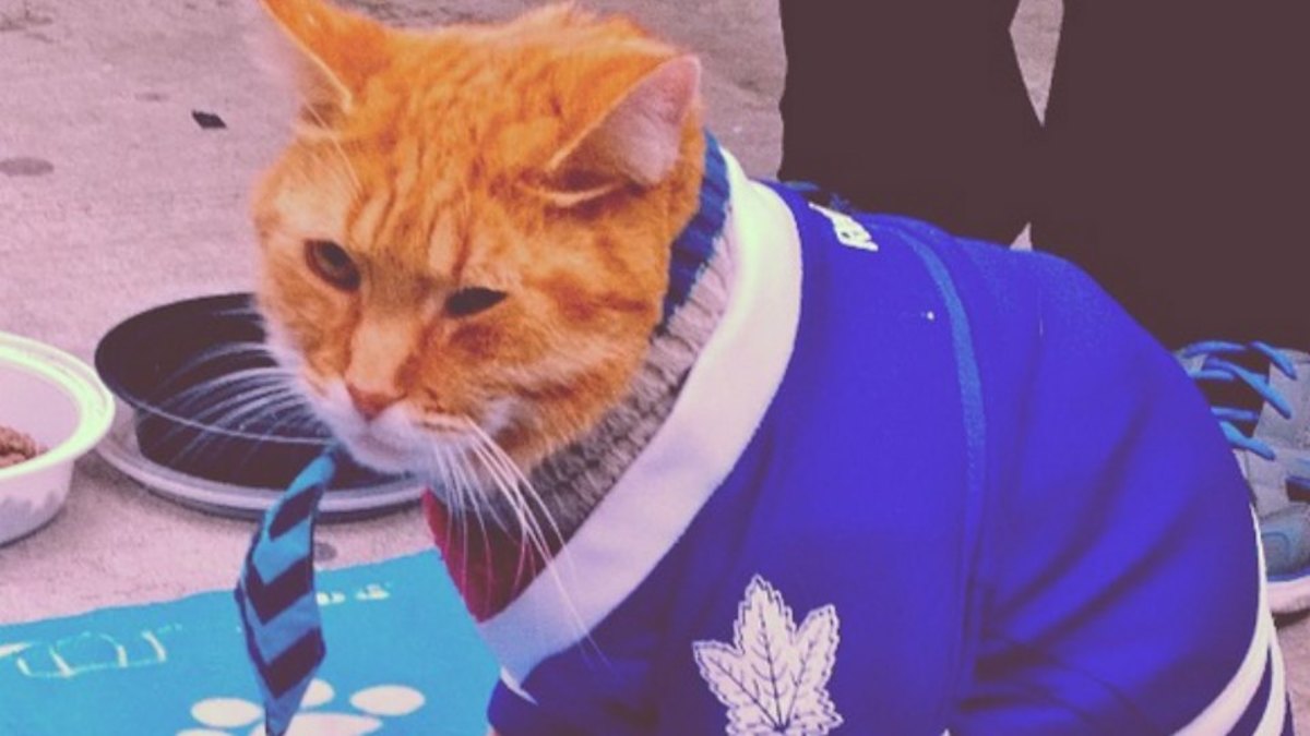 Toronto Maple Leafs Cat Jersey