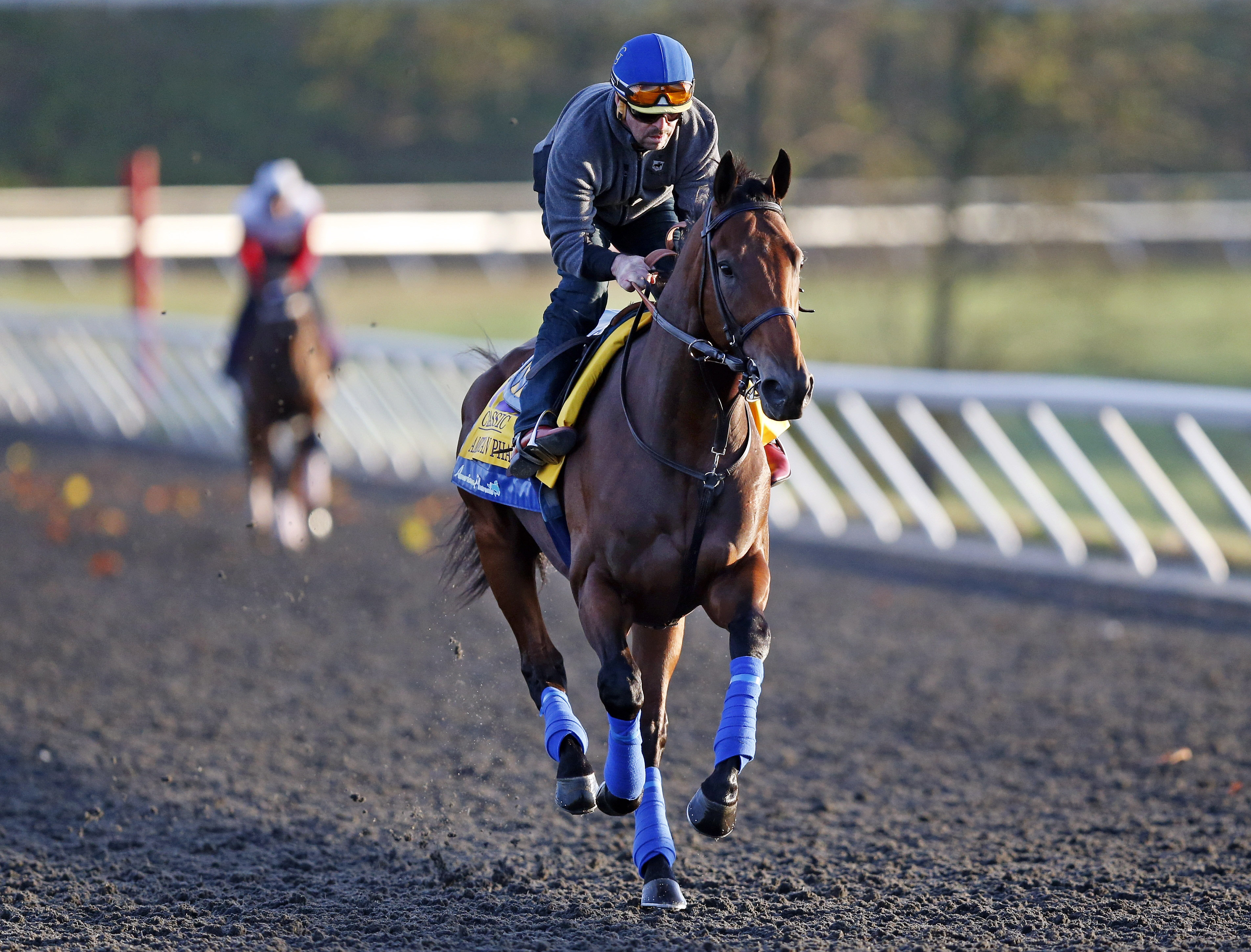 american-pharoah-goes-out-a-winner-in-breeders-cup-classic-sports
