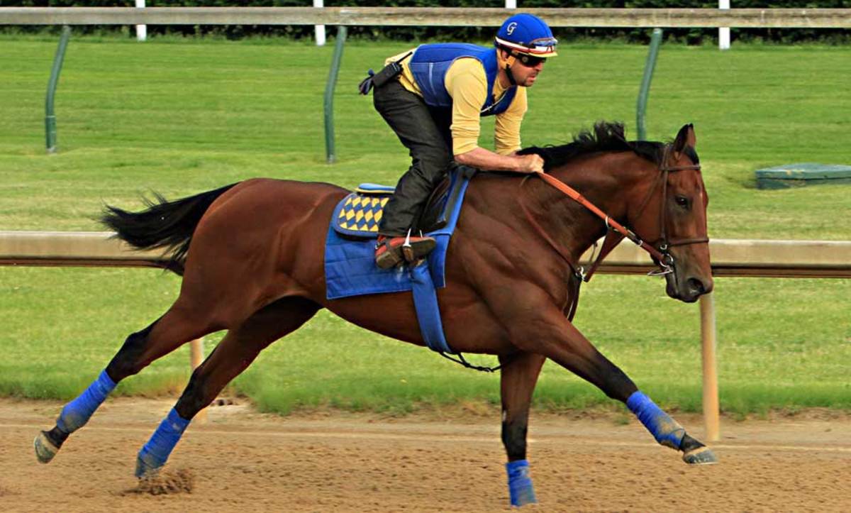 2015 Preakness Stakes draw American Pharoah draws rail Sports