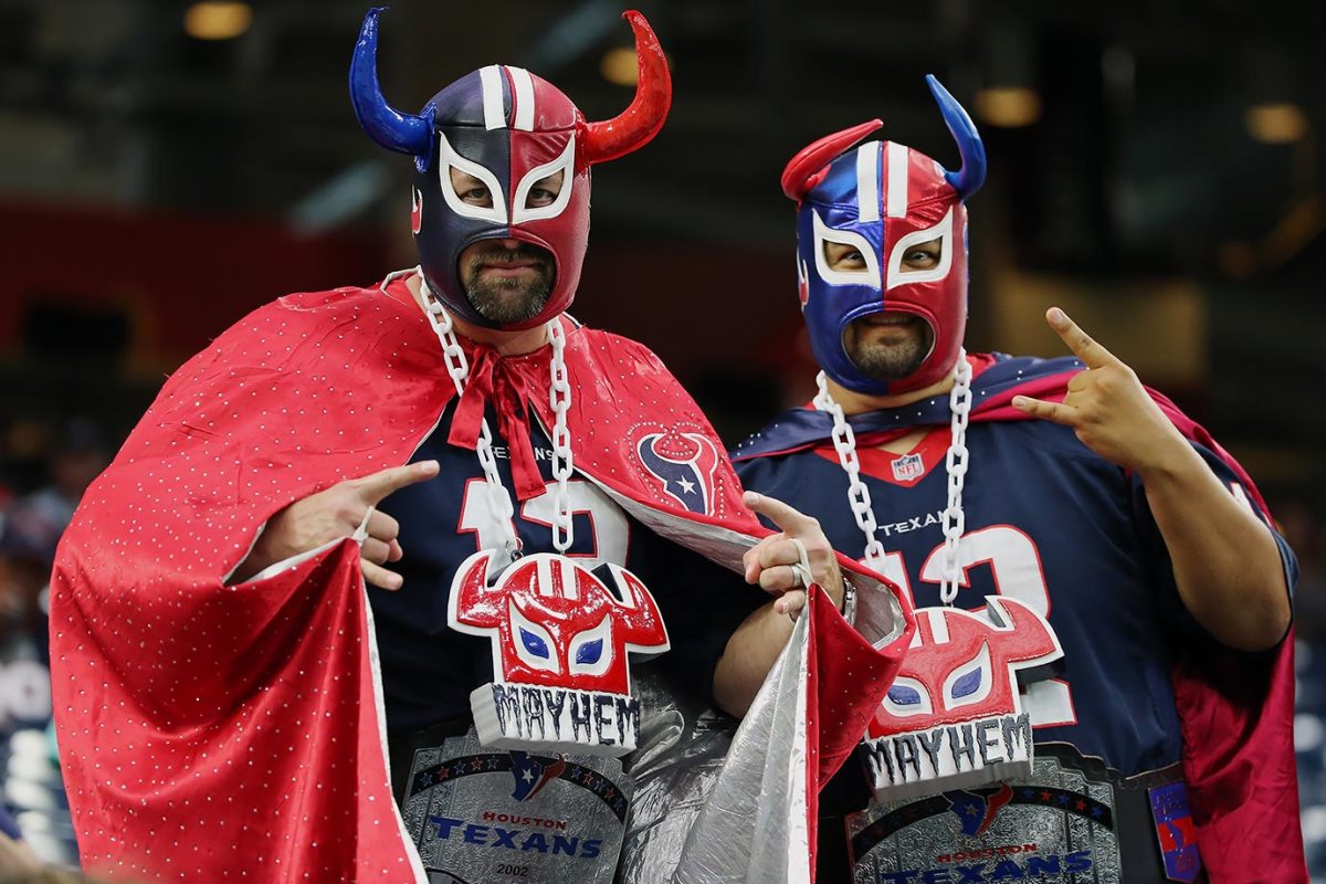 Houston-Texans-fans.jpg