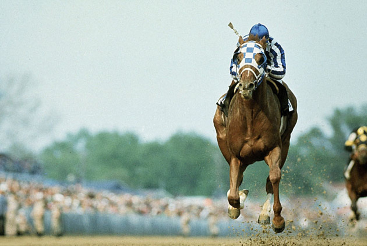 Pure Heart The thrilling life and emotional death of Secretariat